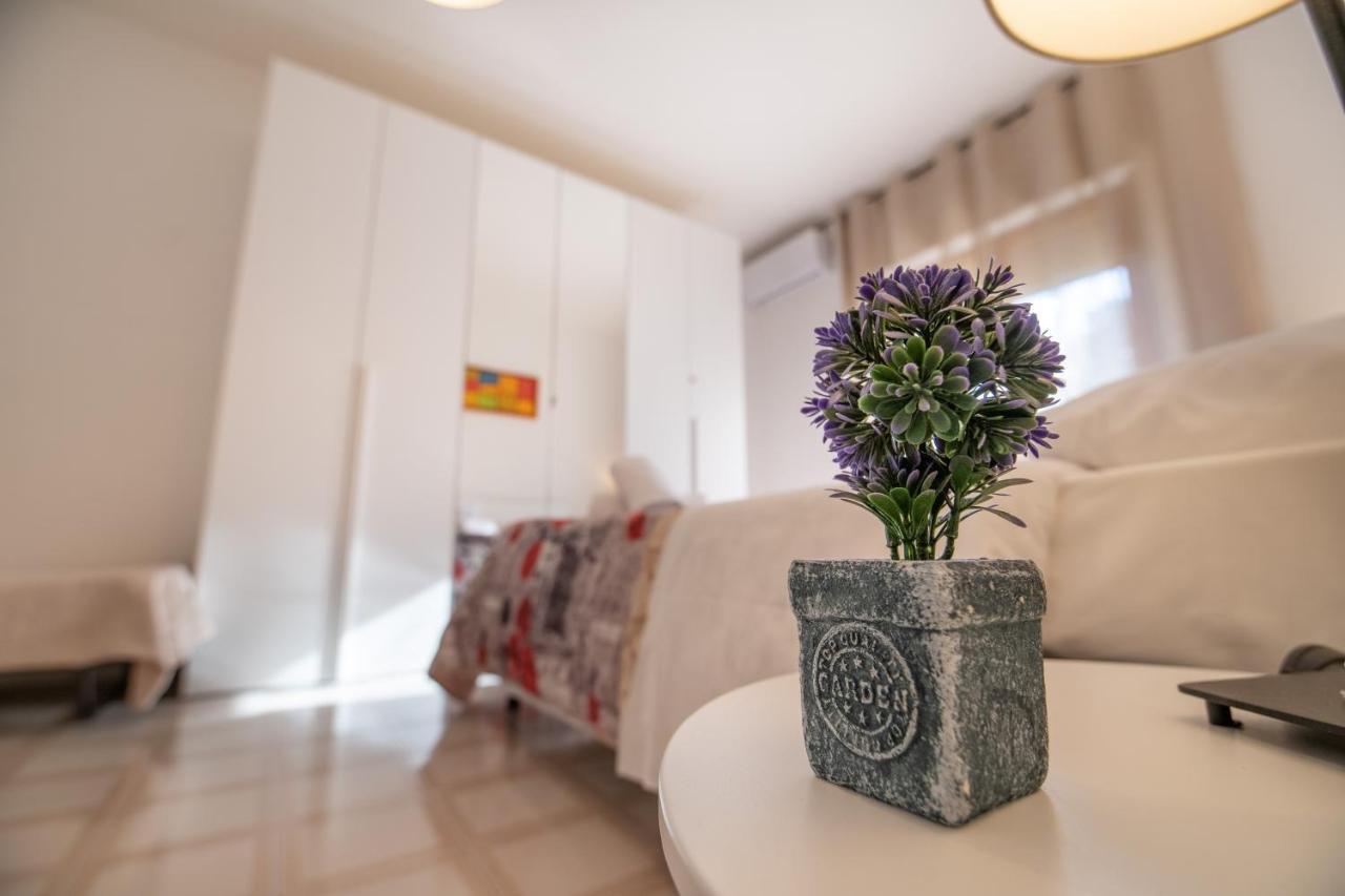 B&B A Casa Di Amici 카세르타 외부 사진